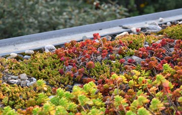 the cost of Level Of Mendalgief green roof installation