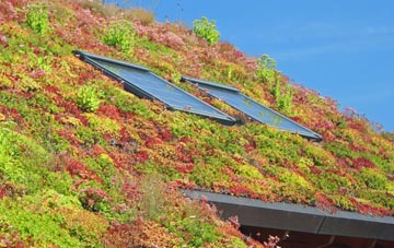 Level Of Mendalgief living roof systems
