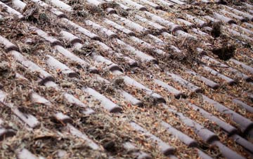 Level Of Mendalgief roof cleaning companies