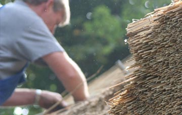 professional Level Of Mendalgief thatchers