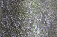 Level Of Mendalgief fibreglass roof work