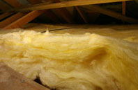 Level Of Mendalgief pitch roof insulation